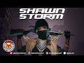 Shawn Storm Ting Deh Yah Raw Yardie Fete Riddim November 2018 mp3