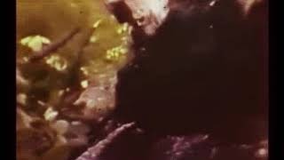 ₱IπK FLO¥D - ¢hap†er 24 (1967) re-imagined video®