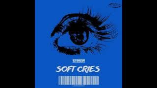 DJ Shiloh- Soft Cries