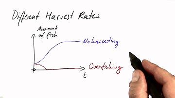 Fish Modeling - Differential Equations in Action