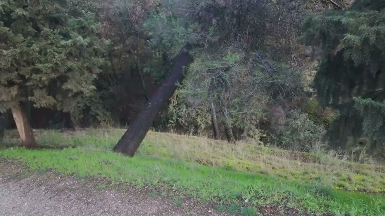 Dehesa del Generalife tras las tormentas