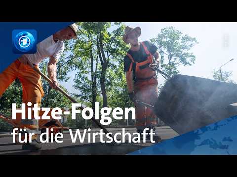 Warum die Hitze Deutschlands Wirtschaft so hart trifft