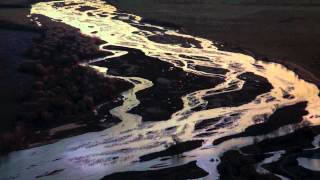 The Great Sandhill Crane Migration
