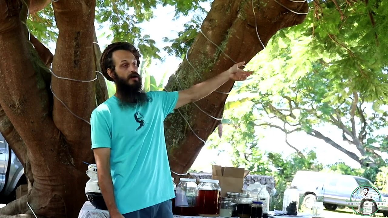 KNF Bulk Nutrient Solutions Day 1