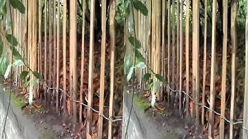 HTC EVO 3D (Euro) 720p 3D Video Sample