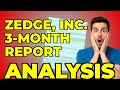 ZDG EMOJI IMPAIRMENT: My Biggest Concern about the Latest Filing
