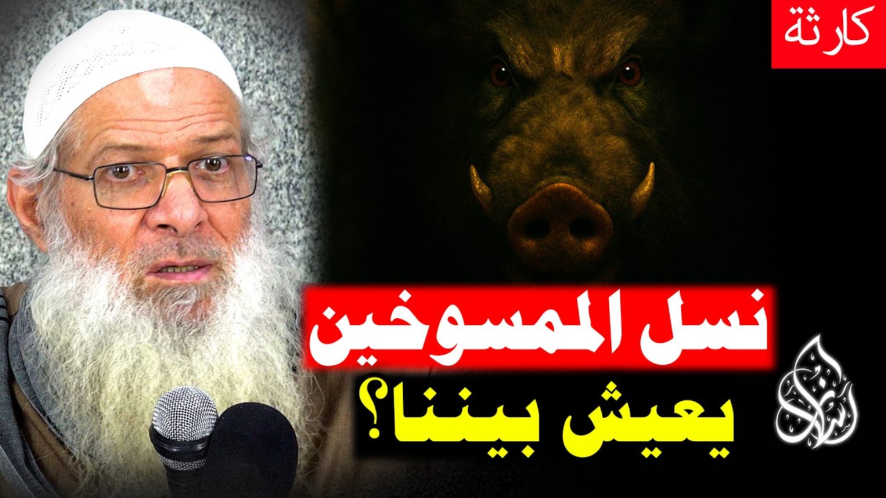 هل إسرائيل اليوم محمية رغم العقاب الإلهي ؟! [ دراسة خطيرة جدا 🔥] | الشيخ محمد بن سعيد رسلان