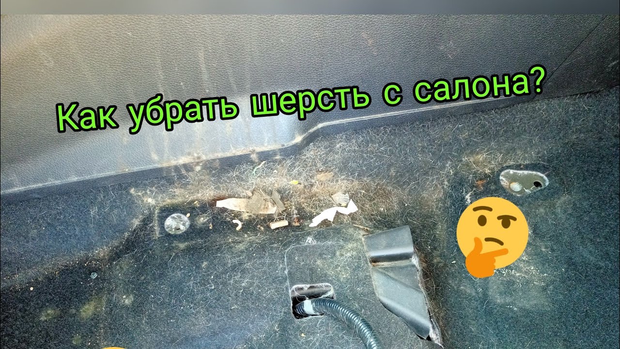 Убрать шерсть с машины. Убрать шерсть с машины