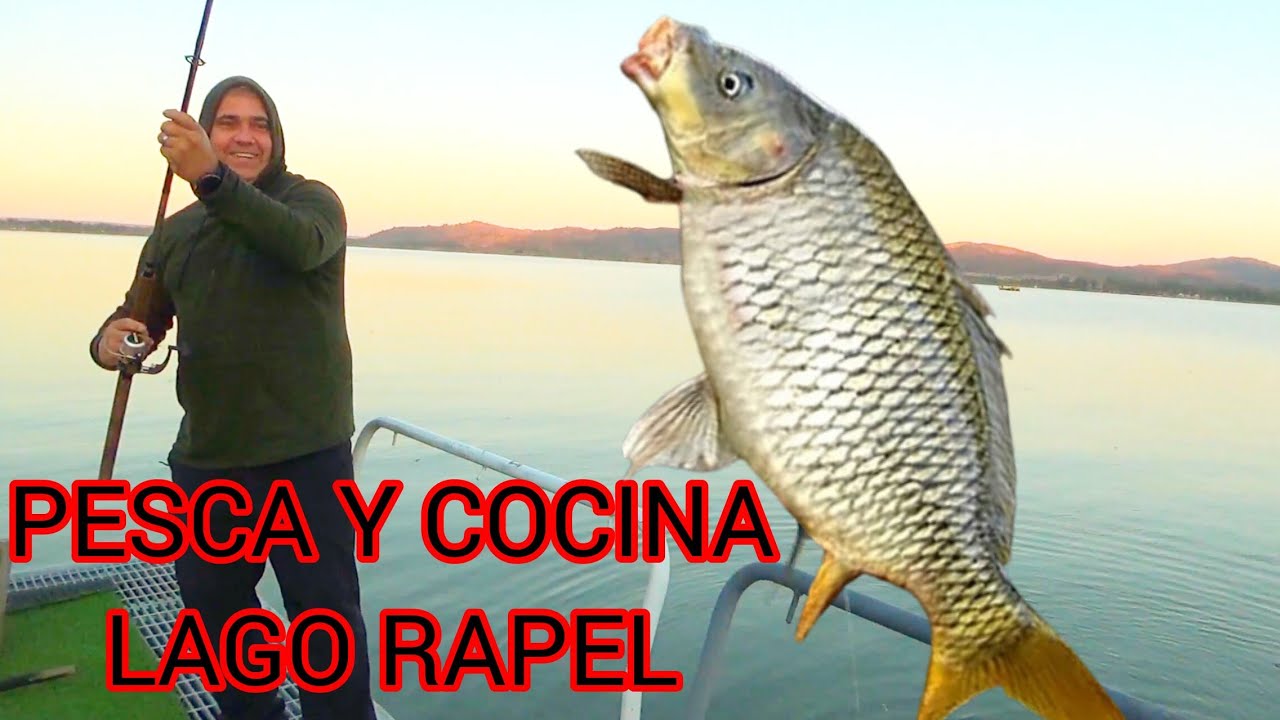PESCA Y COCINA LAGO RAPEL CHILE