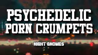 Psychedelic Porn Crumpets - Night Gnomes (letra en español)