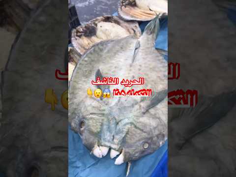 الحريد الناشف سمك شهيوات مغربية اكسبلور  شيف  طبخ مغربي مشاوي وصفات