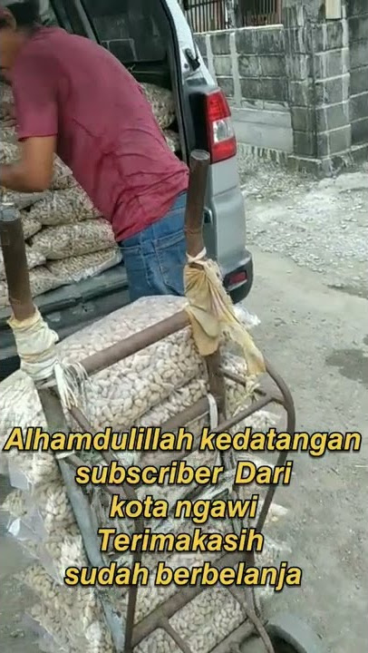 Download lagu Customer kacang asin oven dari kota ngawi#shorts #videoshorts #youtubeshorts #kacang #kacangtanah