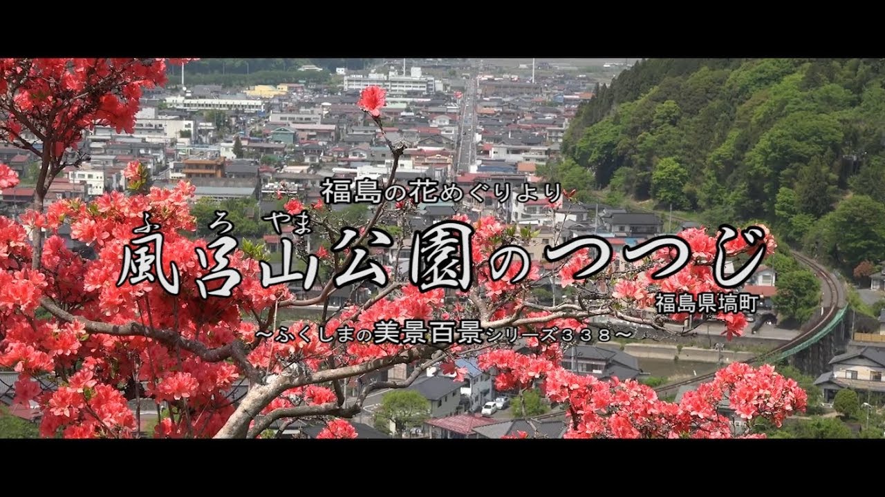 福島の花めぐりより 福島市上野寺 あづまの舞姫 祭田の藤 Youtube