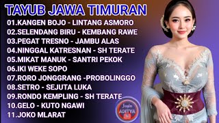 Download Lagu RORO JONGGRANG TAYUB BOJONEGORO JAWA TIMURAN FULL ALBUM MP3