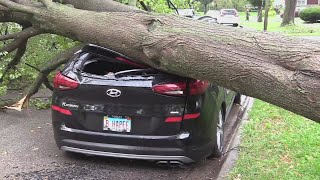 Storm damage in Far Southwest suburbs after severe weather Tuesday