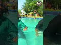 Sozo Water Park Lahore Masti! 🌊 | Umar Bhai Ka Scene #shorts #shortsfeed #sozowaterpark #sozo