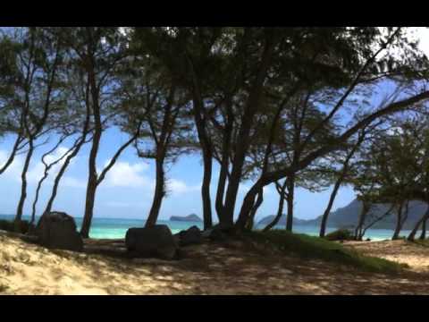 Home In The Islands (2000) - Henry Kapono