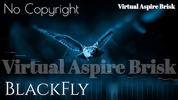Blackfly_ visualization for YouTubers royalty free music no copyright music virtualaspirebrisk