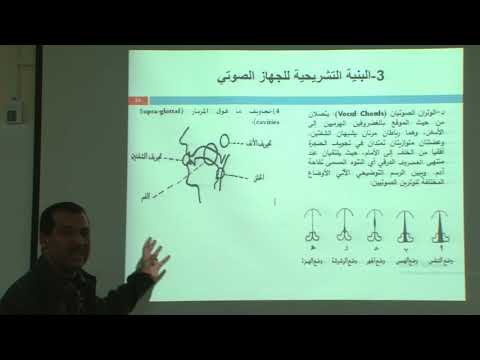 صوتيات البنية التشريحية للجهاز الصوتي د يوسف ادروا