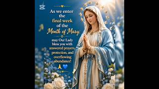 🌹 Blessed Mother Mary Prayer for Today - May 23rd - Marian Blessings 🙏💙