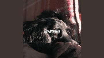 Stellar Music for Sweater Weathers