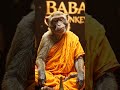Bandar Baba Ka Pravachan 🐒 | Sachchai Bhari Funny Seekh 😂 | Must Watch! #bandarbaba @babamonkeyy