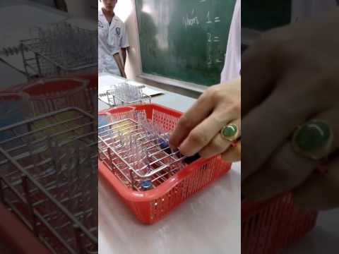 Video Thực tập hóa sinh y1 đại học y dược bài 1 định lượng... - YouTube