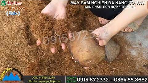 Máy băm xơ dừa, bã mía, thân mía, thân ngô, cỏ voi, cành lá, rơm rạ, thân dây leo,...nghiền ngô hạt,