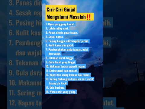Ciri ciri ginjal
