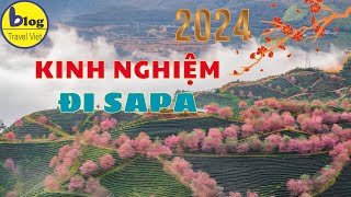 Blog Travel Viet