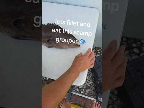 Catch to Clean: Ultimate Scamp Grouper Sandwich! 🥪🔥