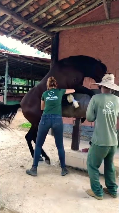Horse medical Test #short