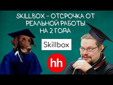 Ежи Сармат смотрит "Отсрочка от реальной работы на 2 года - Skillbox" (Сашкинс)