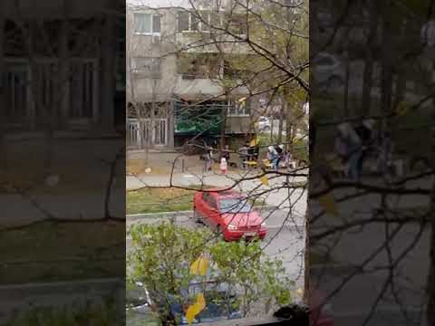 Видео: Колко говеждо да задушите