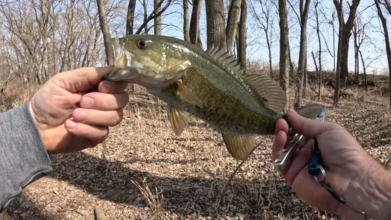Bass fishing on the Wildcat creek