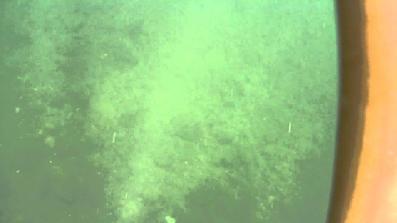 Tui chubs in the North Umpqua