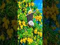 Beshak Allah sab Dakh that Hy #trending #comedy #ytshorts