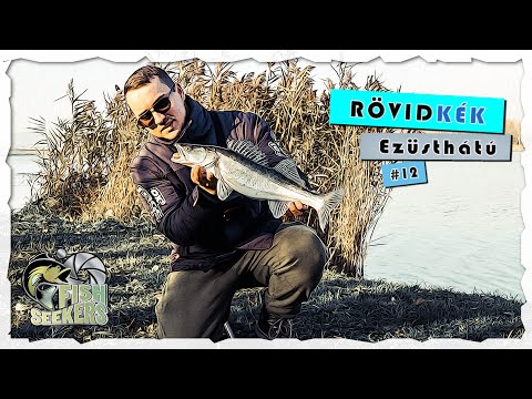 Rövidkék - ZANDER