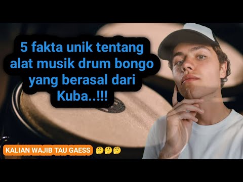 Video: Bongo drum terbuat dari apa?