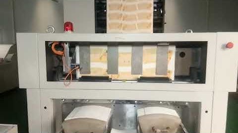 Paper Cup Fan Roll Die Punching Machine inline High Quality Flexo Printing Machine