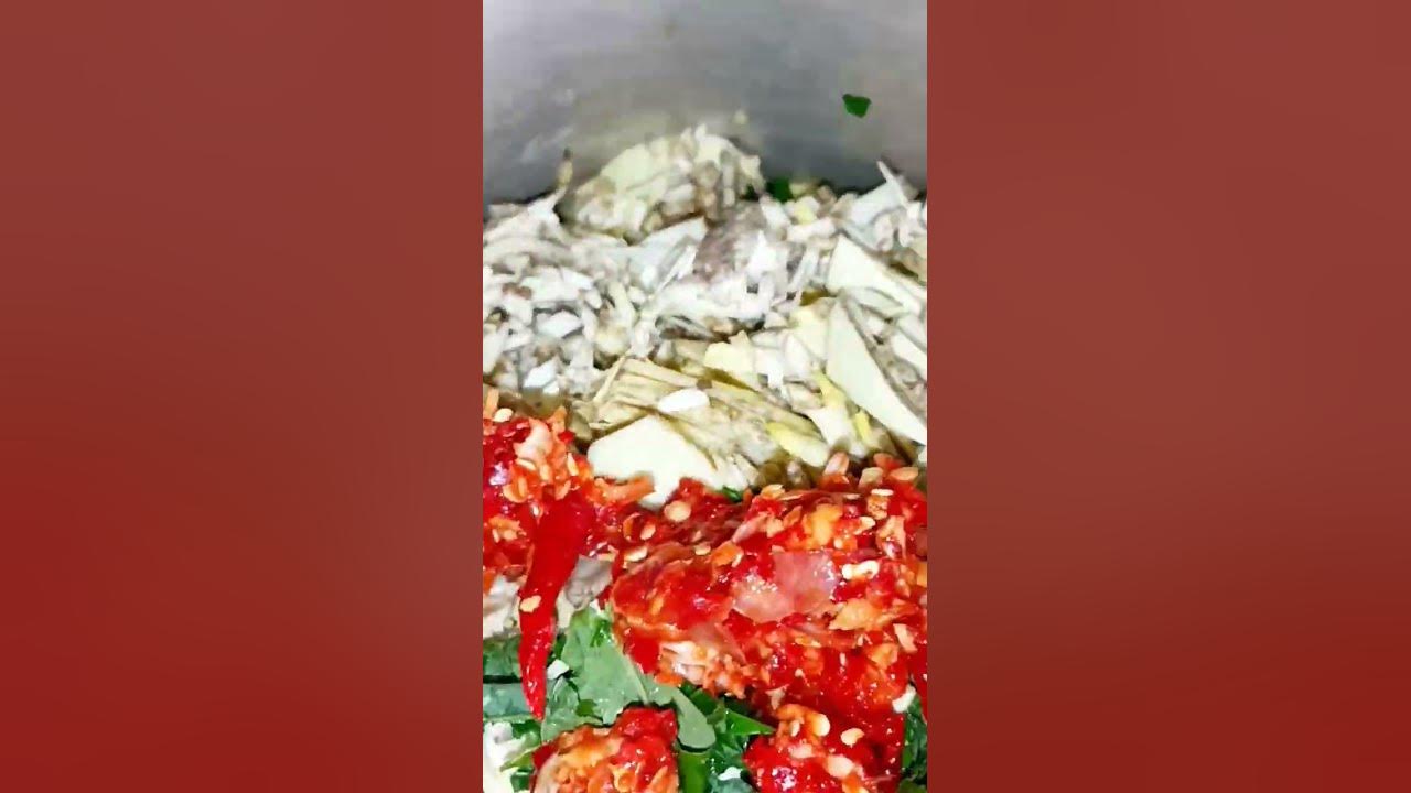 SAYUR SANTAN DAUN SINGKONG DIJAMIN  ENAK BANGET