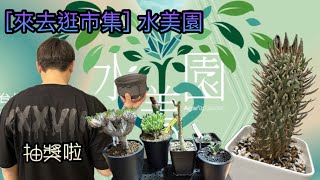 ［來去逛市集］水美園我又又又又來了🤣來實測一下到底多少人認識店長阿偉，這集有抽獎喔。塊根植物/龍舌蘭/鬥牛角大戟/象足漆樹/象牙宮