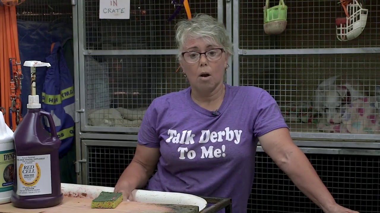 43 MPH: The Ethics of Greyhound Racing