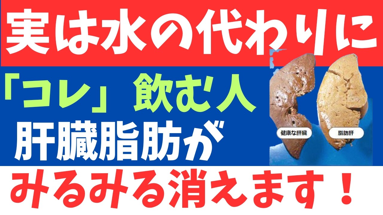 【超有益】肝臓の脂肪をごっそり落とす方法（コレステロール　中性脂肪　脂肪肝）