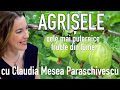 Fructele Frumusetii, Agrisele * Cele mai puternice fructe din lume * Bogate In Vitamina C