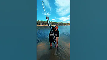 Physics Chemistry In Real Life 