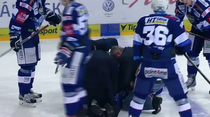 Hockey Brawl #2
