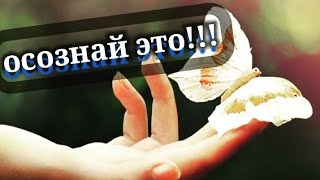 Как за 1 Час Стать Счастливым Раскрываем Уникальный Секрет! СМОТРЕТЬ ВСЕМ!