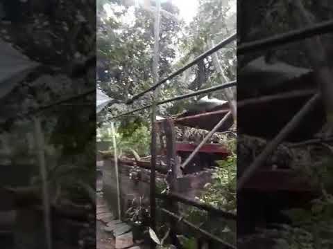 Bagyo (Pangalatok words)