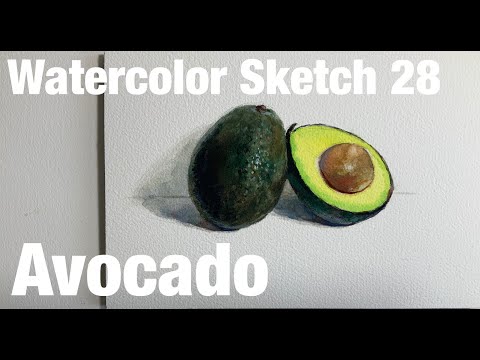 Watercolor Sketch 28 / Avocado 水彩スケッチ 28 / アボカド - YouTube